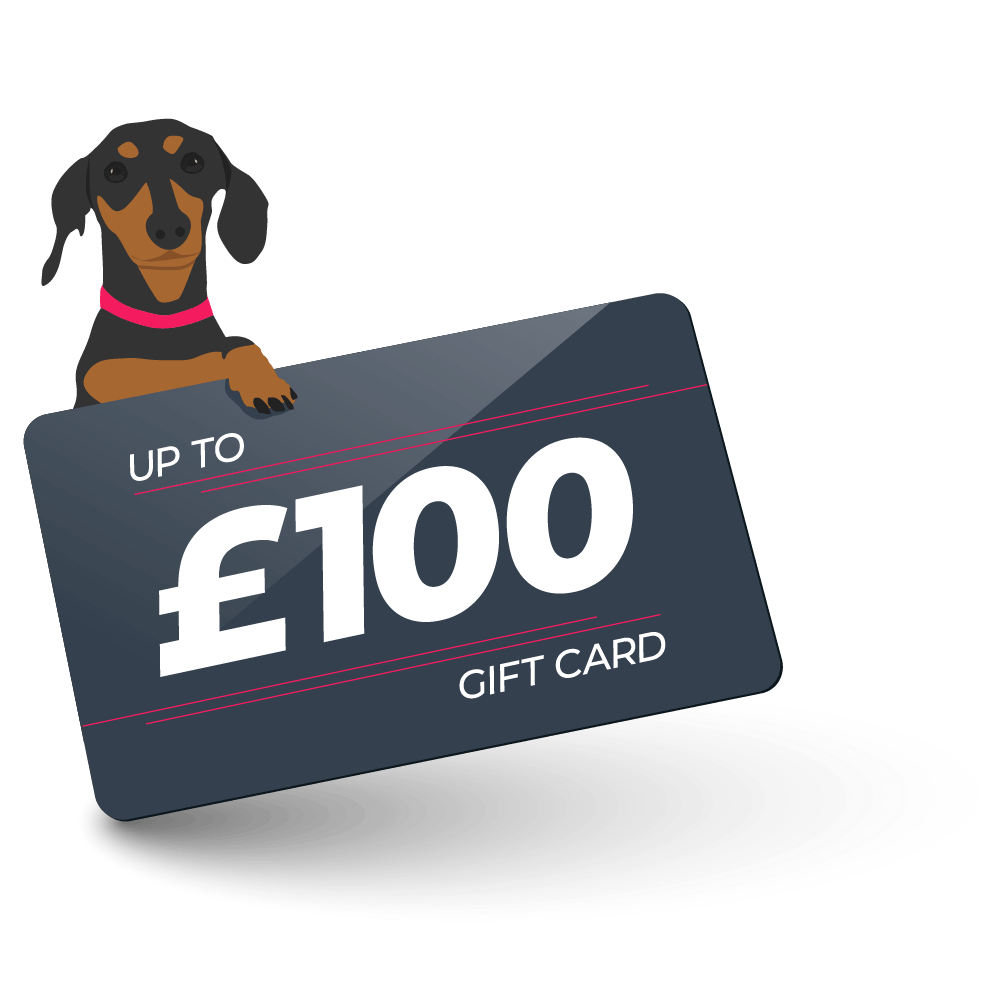 gift card stanley edition