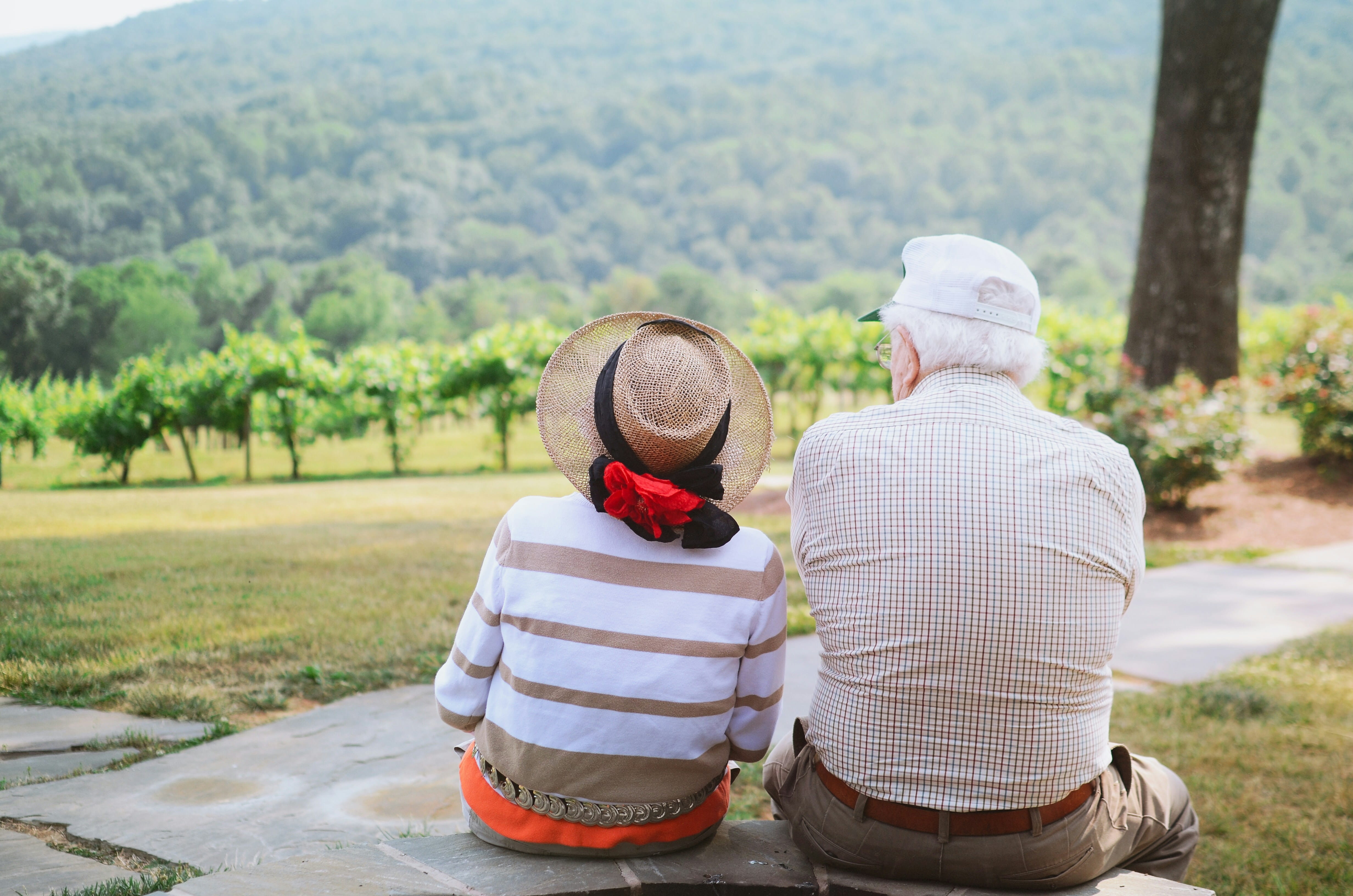 Elderly couple sitting and admiring scenery
