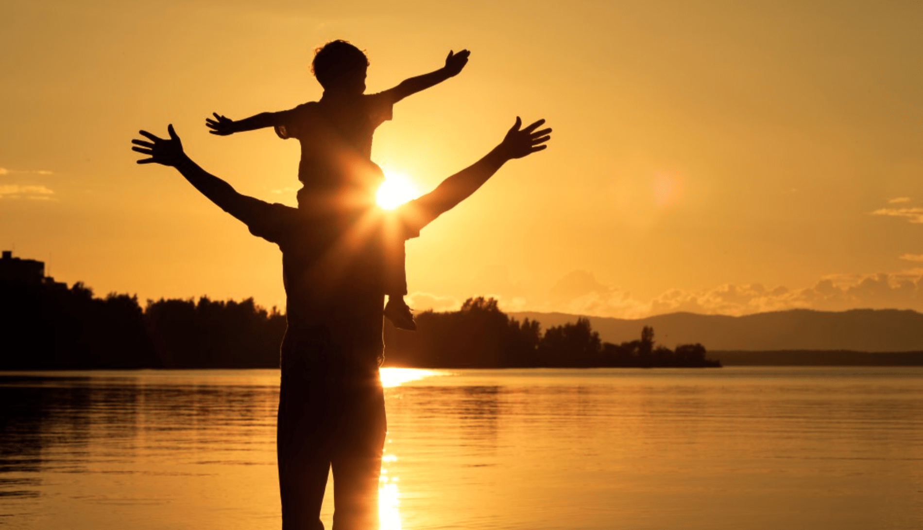 Five facts SIC you might not know