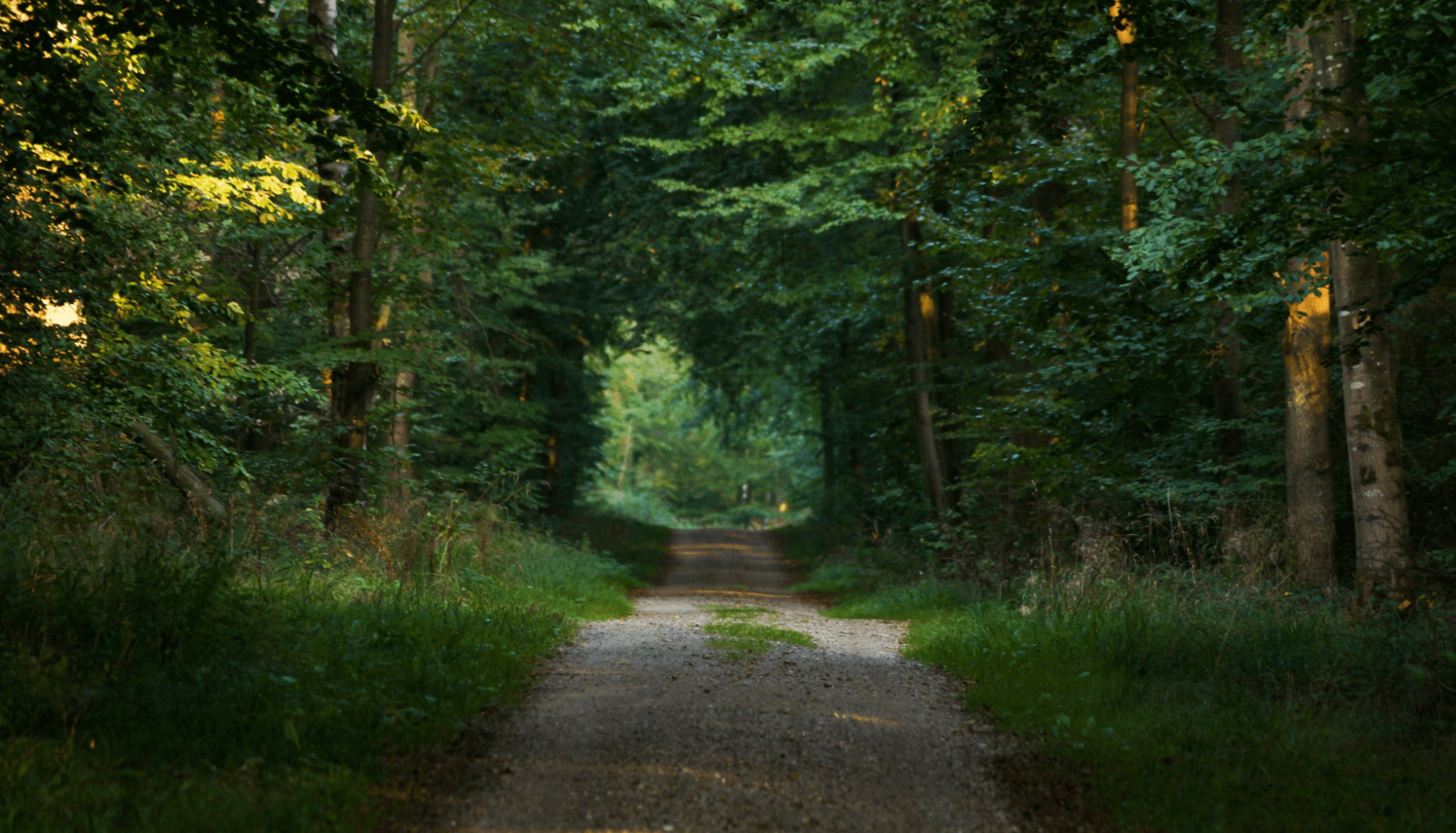 mother-daughter-walk