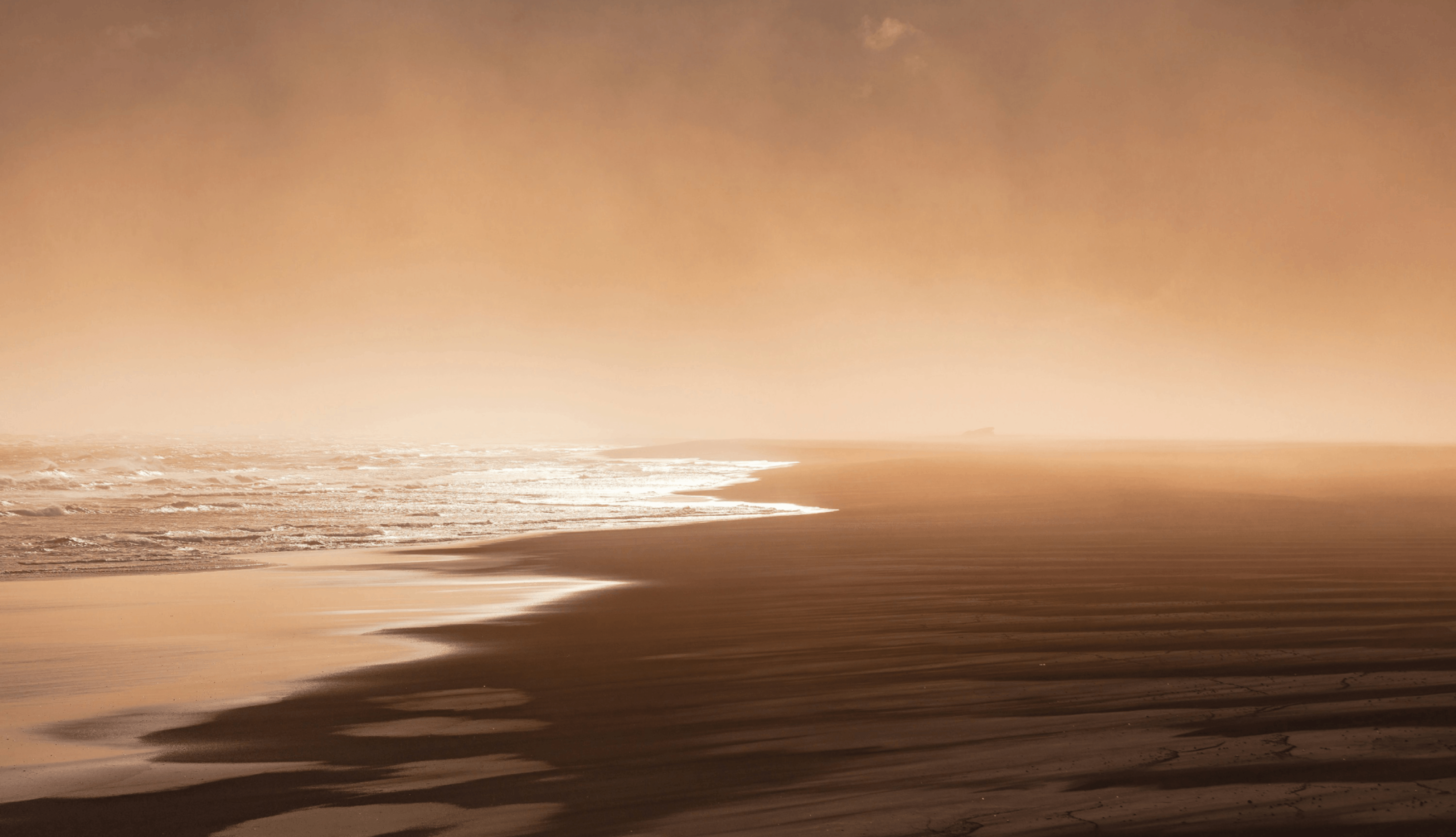 sic-case-study-background