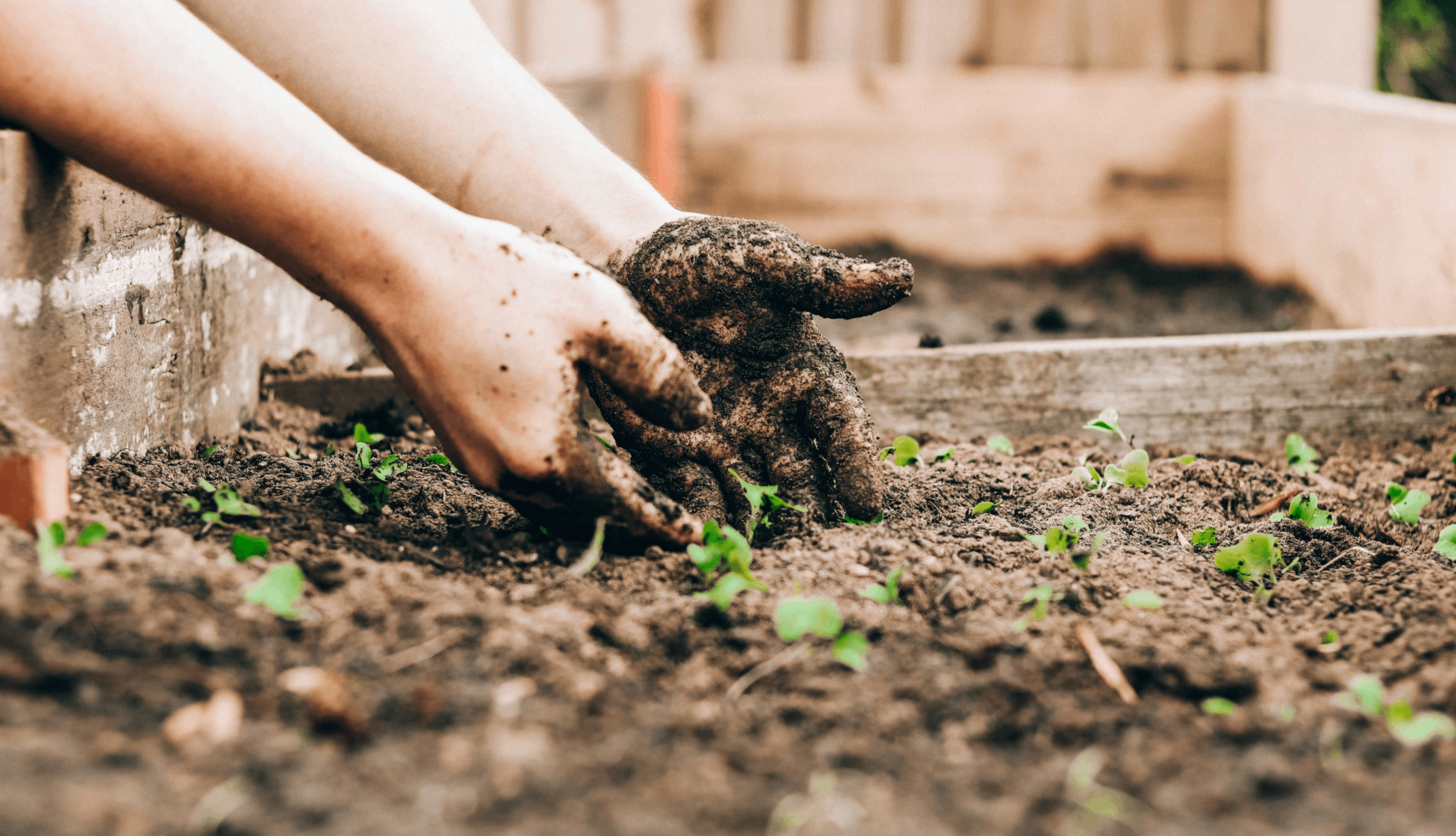 sandie-clarke-q13Zq1Jufks-unsplash