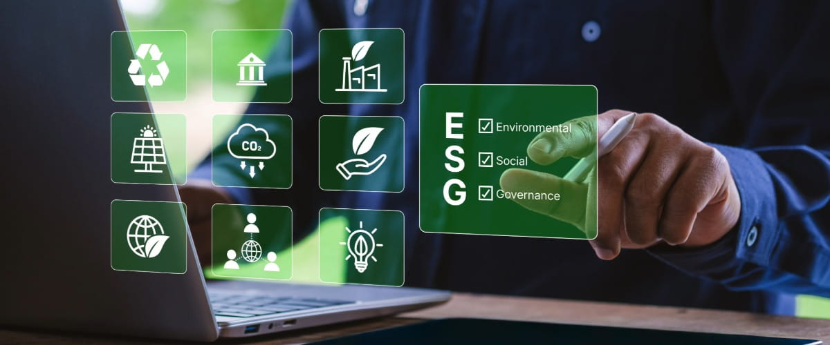 five-things-learnt-sustainability-series