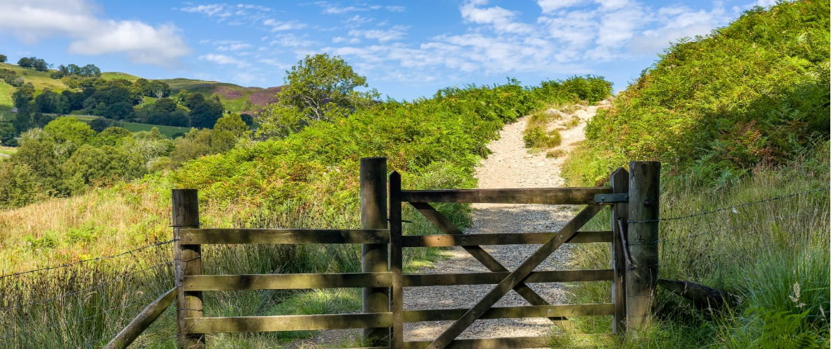 countryside-path-gate
