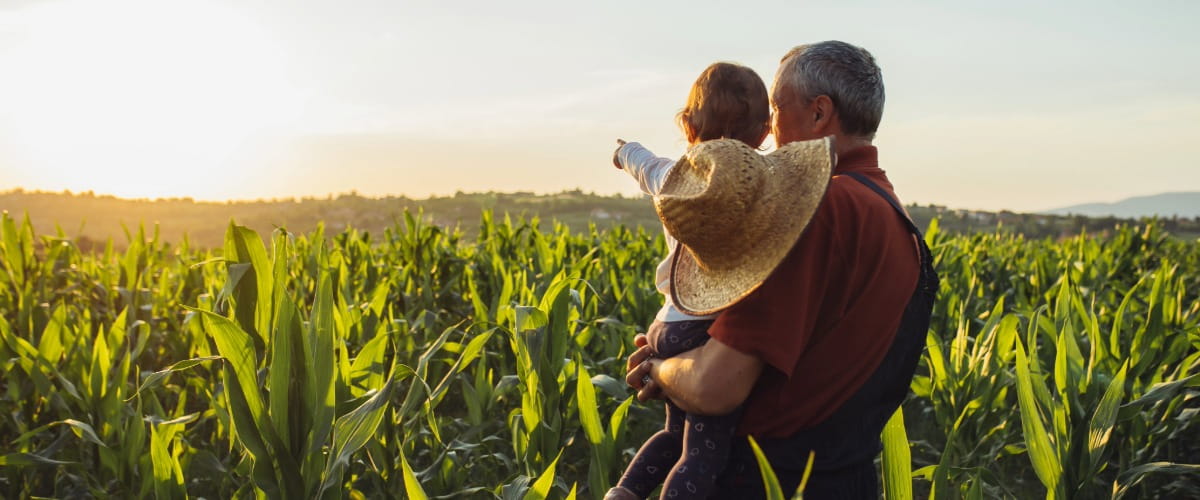 old person and child looking at sunset